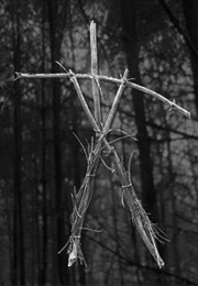 Shadow of the Blair Witch (2000)