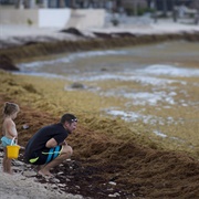 Explore Local Issues