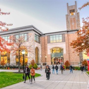 St. Johns University