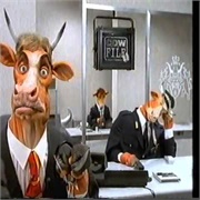 Cow File  Advert 1