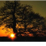 Love Love Love - The Mountain Goats