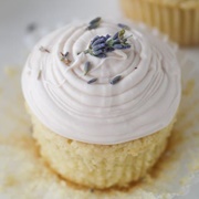 Lavender Cupcakes
