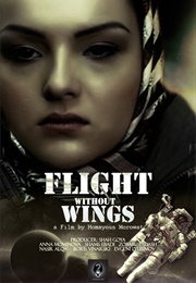 Flight Without Wings (2014)