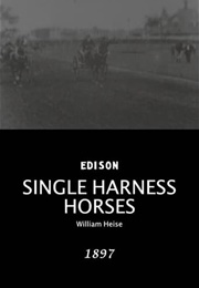 Single Harness Horses (1897)