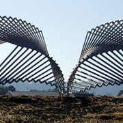 Sculpture Fields at Montague Park