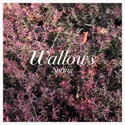 Wallows - Spring EP