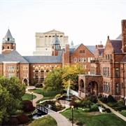 Saint Louis University