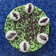 Eileen's Special Cheesecake Mint Chocolate Chip Cheesecake