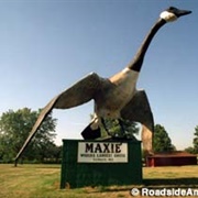 World's Largest Goose