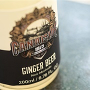 Canalside Soda Co. Ginger Beer