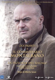 La Pazienza Del Ragno (2006)