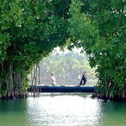 Ashtamudi Lake