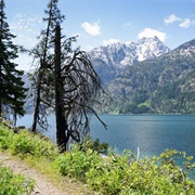 Twenty-Five Mile Creek State Park