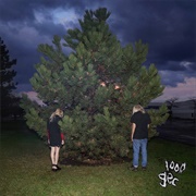 1000 Gecs (100 Gecs, 2019)