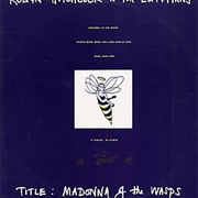 Madonna of the Wasps - Robyn Hitchcock & the Egyptians