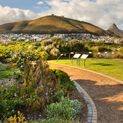 Green Point Park, Cape Town
