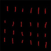 Billy Cobb-  Strokes of Incarceration