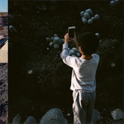 Life, and Another (Mega Bog, 2021)