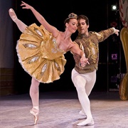 Ballet Dancer Costume