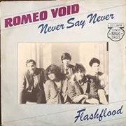 Flashflood - Romeo Void