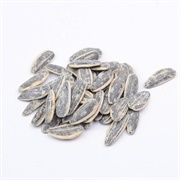 Pipas Tostadas Con Sal