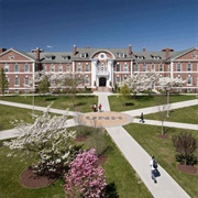 University of New Haven