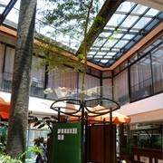 Thorn Tree Cafe, Nairobi