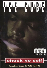 Ice Cube: Check Yo Self (1993)