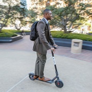 Bird Rental Scooter
