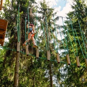 Treetop Adventure Park