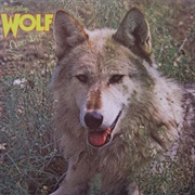 Darryl Way's Wolf - Canis Lupis