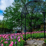 Pittsburgh Botanic Garden