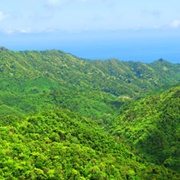 Cross Island Track, Cook Islands