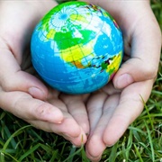 Join Greenpeace (Or Similar!)