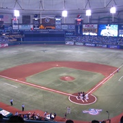 Tampa Bay Rays- Tropicana Field