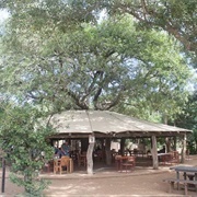Tshokwane Picnic Spot, Kruger Park