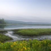 Shine Tidelands State Park