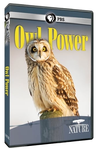 Owl Power (2015)