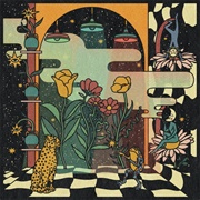 Deep Fried Grandeur (Ryley Walker and Kikagaku Moyo, 2021)