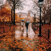 Autumn Rain
