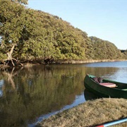 Canoeing the River Teifi Near Cardigan, Wales