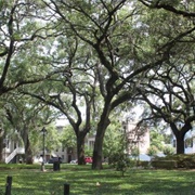 Chatham Square