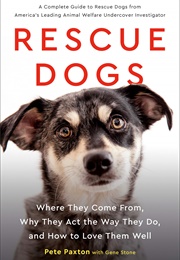 Rescue Dogs: Where They Come From, Why They Act the Way They Do, and How to Love Them Well (Stone, Gene)