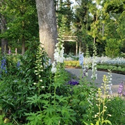 Mercer Arboretum &amp; Botanical Garden, Humble