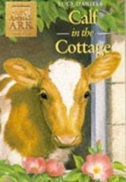 Calf in the Cottage (Lucy Daniels)