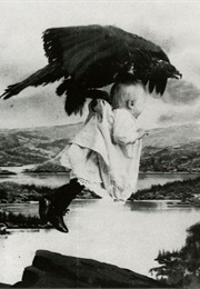 Rescued From an Eagle's Nest (1908)