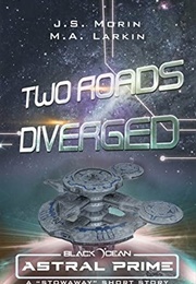 Two Roads Diverged (J.S. Morin)