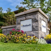 Bushnell University