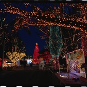 Santa's Enchanted Forest