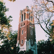 Michigan State University